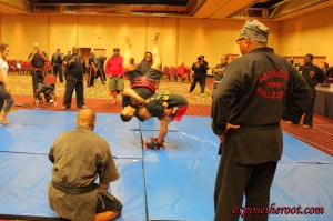 IMG_1824