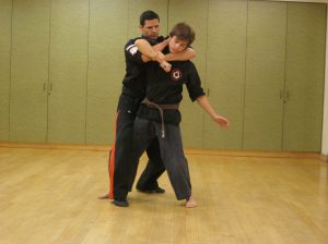 Sifu Lucs Sullivan